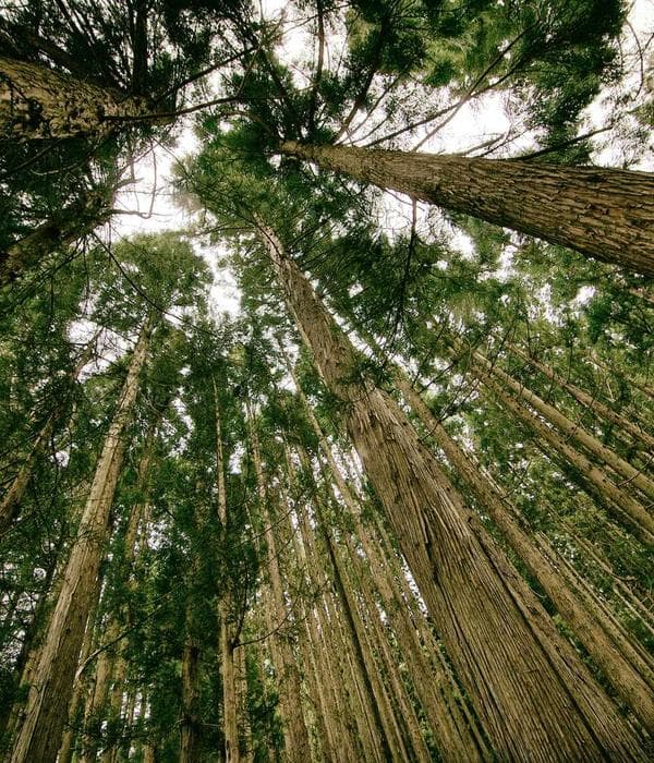 Eveline — communicatieadviseur