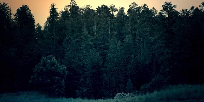 Employer branding campagne, Zorggroep Rivierenland