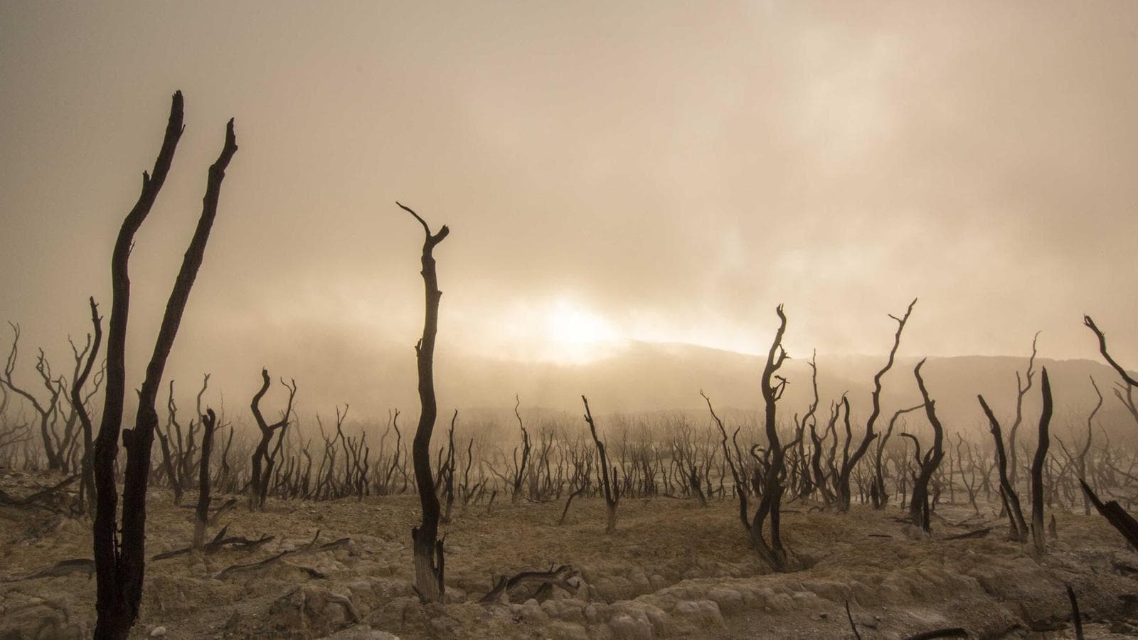 Communicatie achtergrond